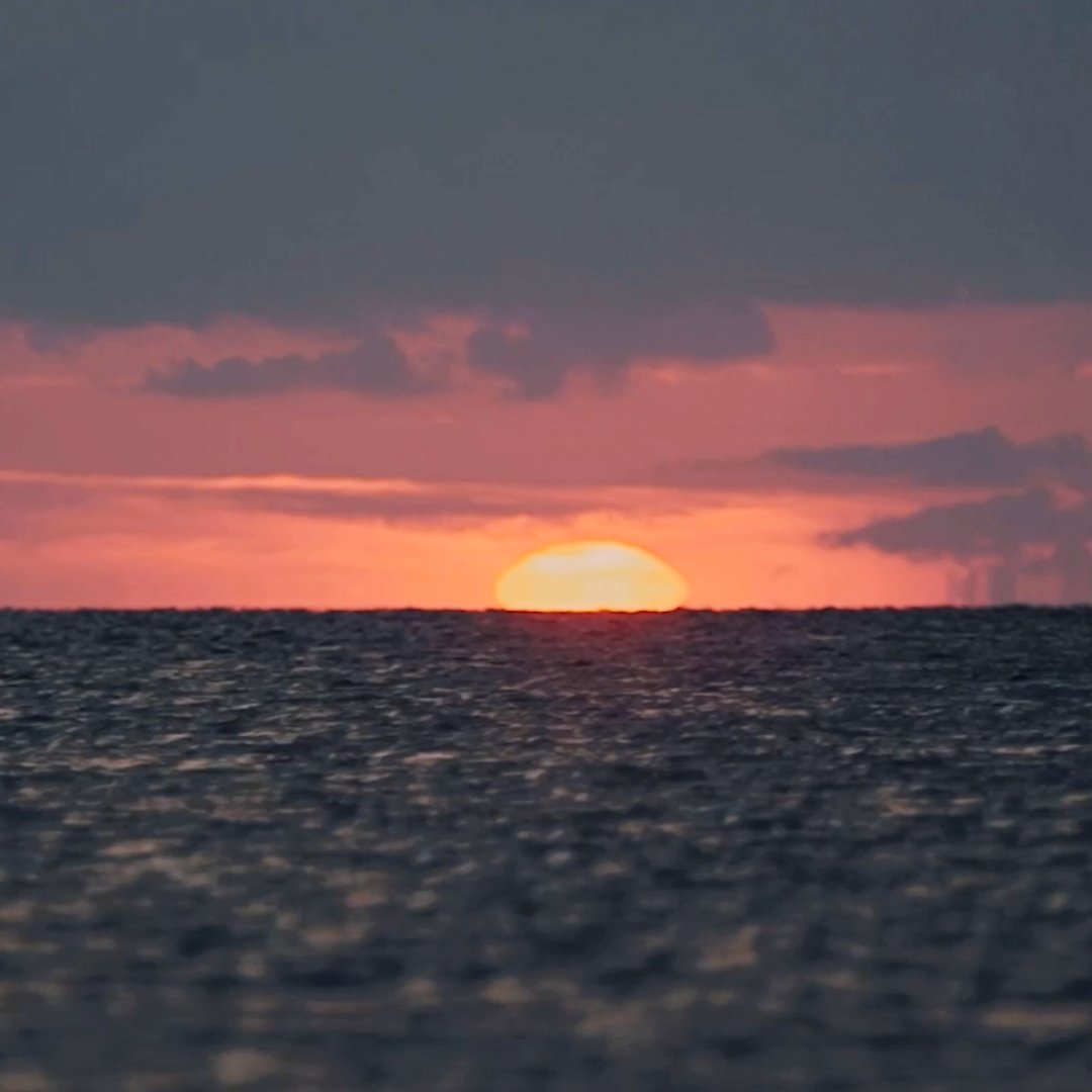 As the sun sets on 2024, we're thinking about all the fun we had on the OBX. What special memories did you make this year?