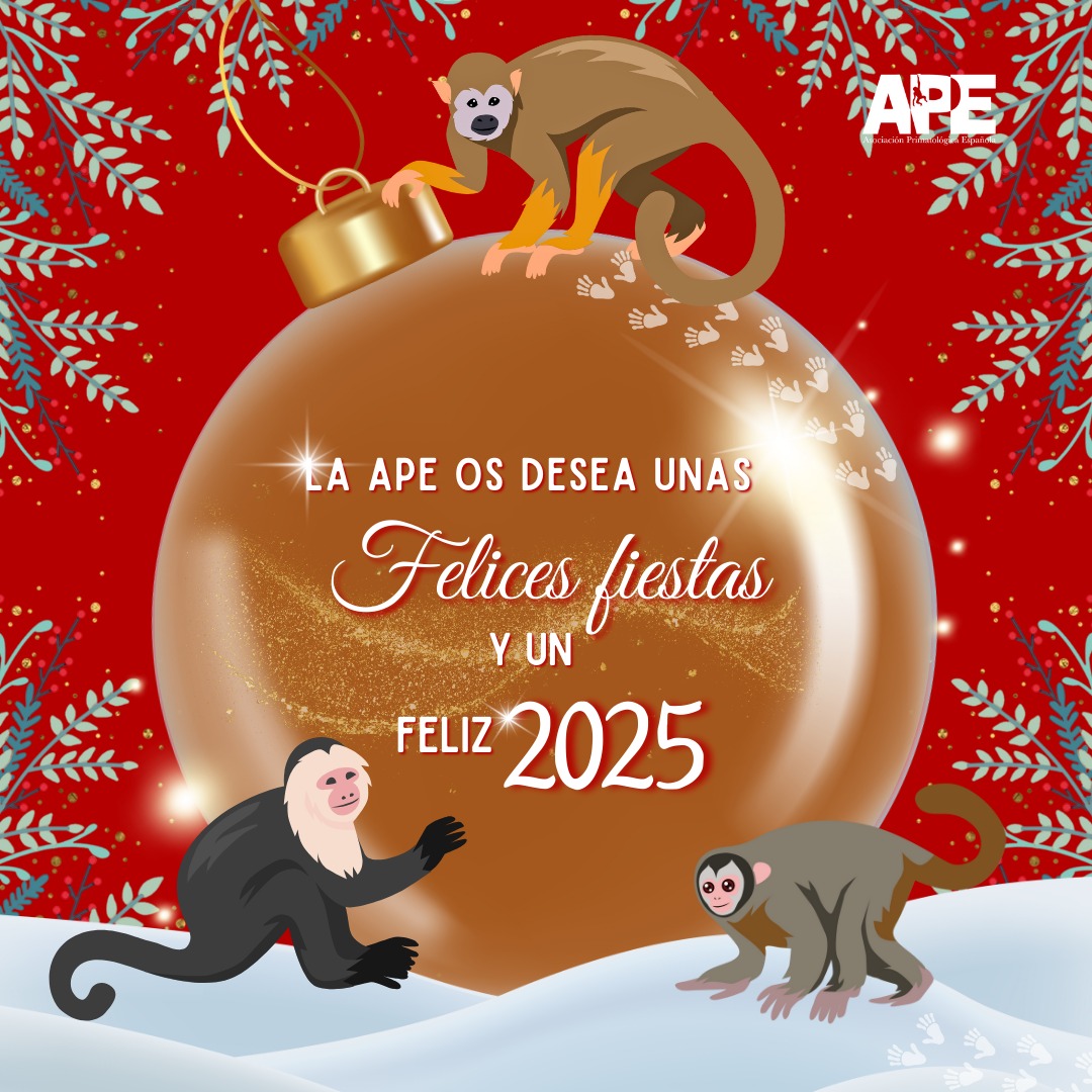 ¡Felices fiestas desde <a href="/APEspain/">APE</a>!
Un año más queremos daros las gracias por vuestro apoyo y compromiso con la conservación de los primates.
Que el 2025 traiga nuevos aprendizajes para seguir trabajando juntos por un futuro mejor para los primates y su hábitat.