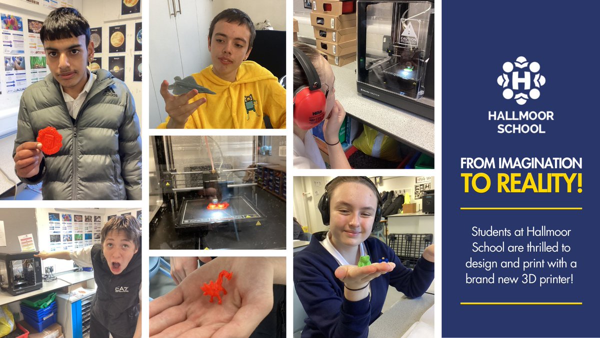 Hallmoor School tweet media