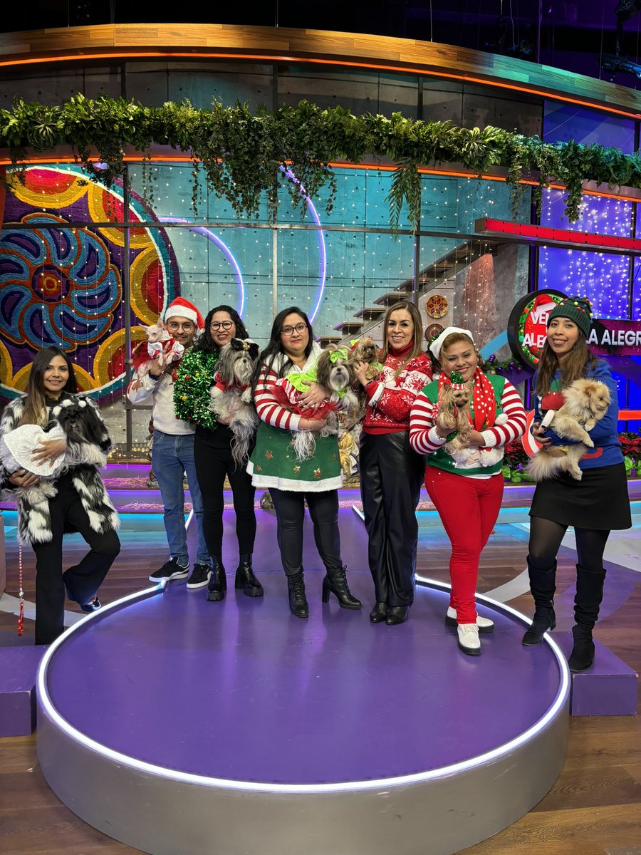 VengaLaAlegria's tweet photo. ¡Nos encanta! 🤩 Te traemos las mejores ideas para que esta navidad tu lomito luzca muy navideño. 🐶🎄

#VLA #EsTiempoDe https://t.co/mMpohgCJka