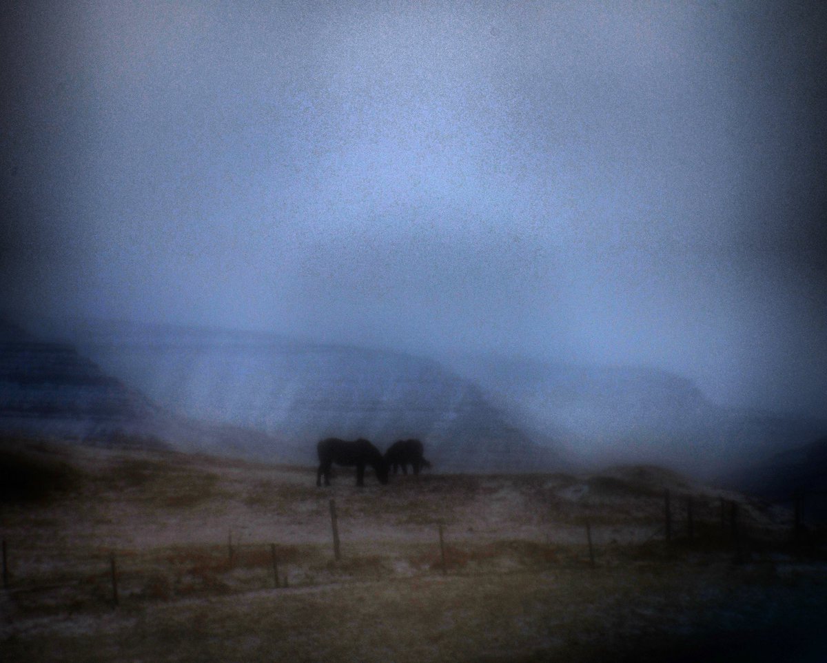 from november Iceland