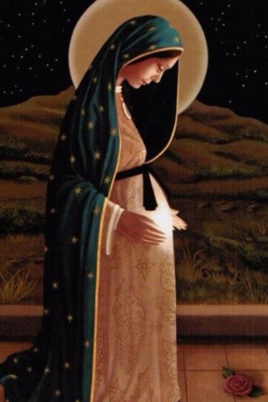 realCarola2Hope's tweet photo. Si Dios eligió a la Virgen María como intermediaria perfecta para traernos a Su Hijo, el Salvador, ¿por qué no habríamos de acudir a ella como mediadora para acercarnos más a Jesús? https://t.co/G8UZ5u3zY2