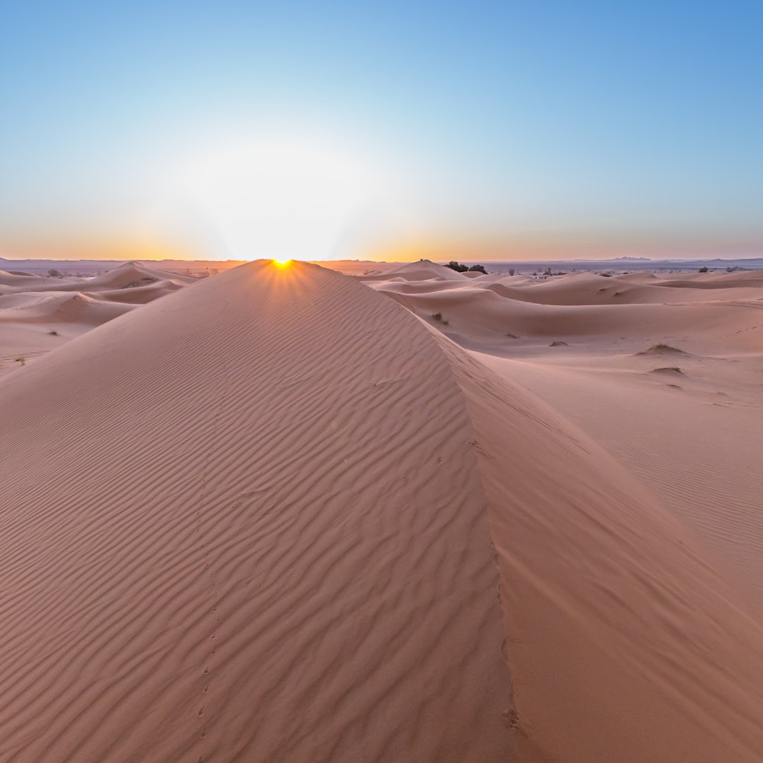 Sonnenaufgang in der Wüste am 01.01.2024

#travel #photography #canon #tamron #desert #reise #sand #abenteuer #adventure