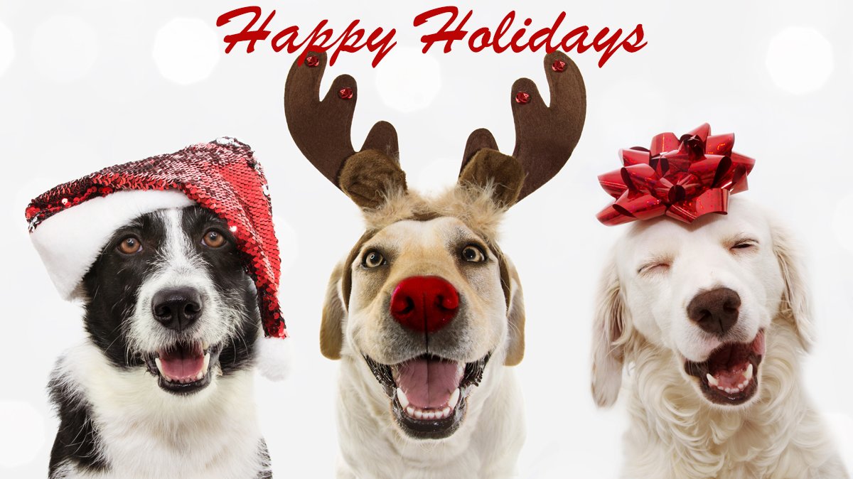 Happy Holidays from the MarketGrabber Team!

Please note that we will be closed on Christmas and New Year’s Day as we celebrate the season with friends and family.

Wishing you peace, joy, and happiness this holiday season! #HAPPYHOLIDAYS