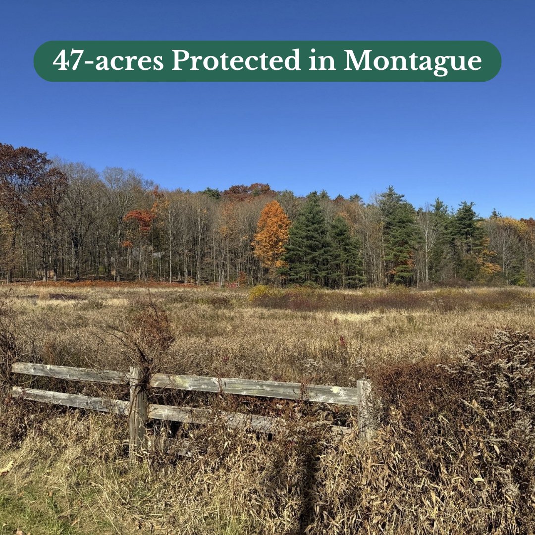 🎉 PROJECT STATUS: COMPLETE 🎉

We’re thrilled to announce that Mount Grace, in partnership with the Franklin County Community Land Trust (FCCLT), has successfully protected the historic 47-acre Watroba property in Montague!

mountgrace.org/about/news/pos…