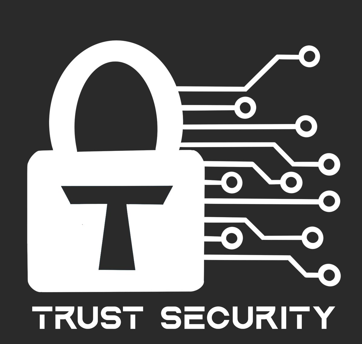 2024 was another amazing year for TrustSec! Super proud of the impact the team has made year-round. 

We've done a bit of everything:
- Solo audits
- Team audits
- Public contests
- Bounties
- Bounty coaching
- Retainer services
- Consultation
- Mathematical modelling
- Gas audit