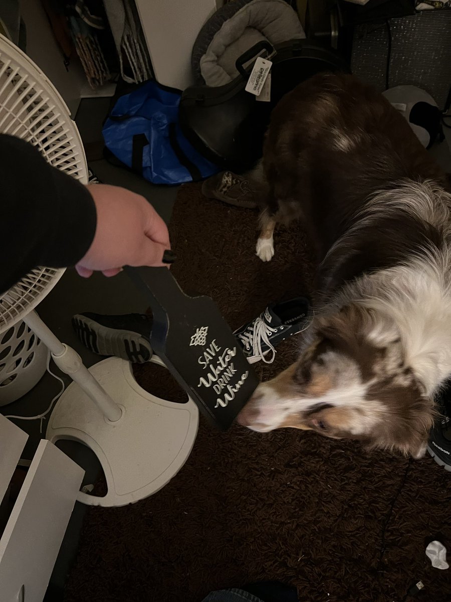 FOLLOW MY NEW ACC PLEASE @wuffghost tweet media