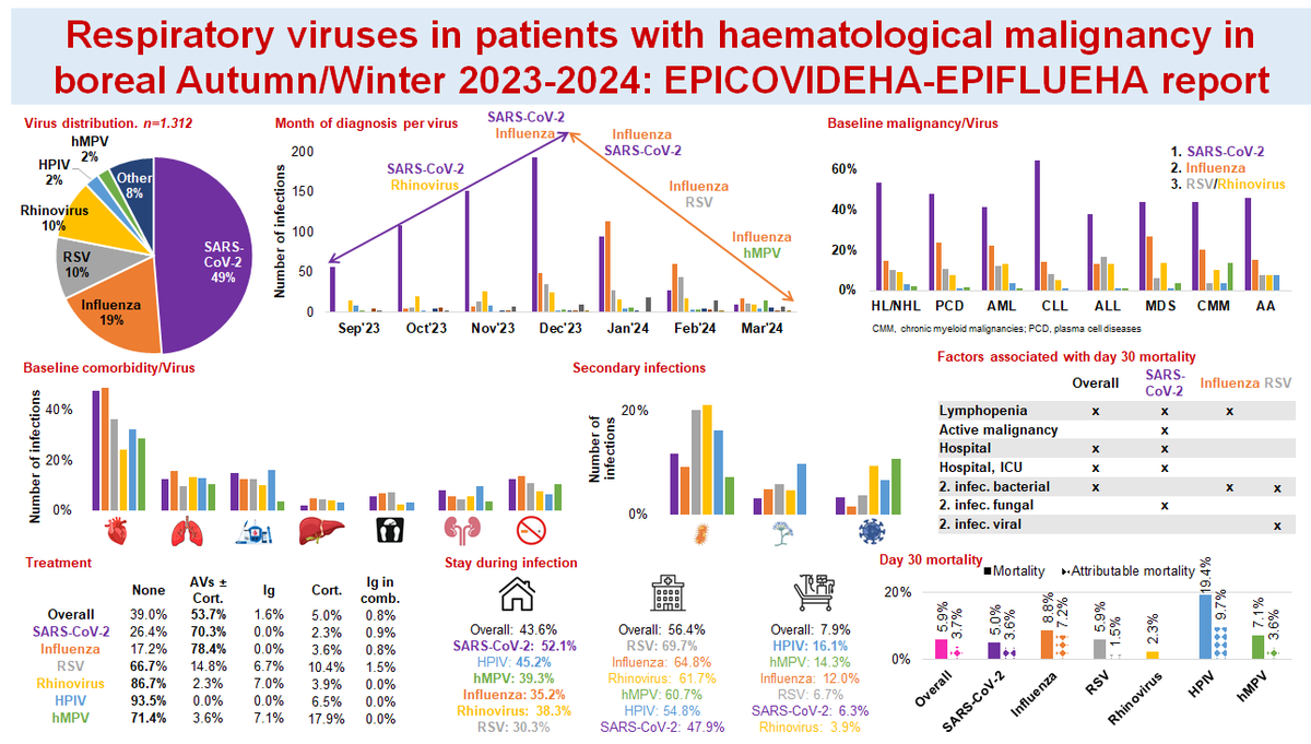 Jon Salmanton-García 🔎🍄🩸💉🦠 (@salmantongarcia) on Twitter photo 📢 #EPICOVIDEHA in <a href="/AjHematology/">AmericanJournalofHematology</a>
#CARV in #hem_onc Aut.-Win.'23-'24
🧑🦱1,312 pax
🔹 #SARSCoV2 49%
🔹 #Influenza 19%
🔹 #RSV 12%
📈SARS-CoV-2 till Dec'23, influenza from Jan'24
6% mortality, ⏫#parainfluenza
⚠️Risks: 2° infections, ICU, lymphopenia
📖onlinelibrary.wiley.com/doi/10.1002/aj… 📢 #EPICOVIDEHA in <a href="/AjHematology/">AmericanJournalofHematology</a>
#CARV in #hem_onc Aut.-Win.'23-'24
🧑🦱1,312 pax
🔹 #SARSCoV2 49%
🔹 #Influenza 19%
🔹 #RSV 12%
📈SARS-CoV-2 till Dec'23, influenza from Jan'24
6% mortality, ⏫#parainfluenza
⚠️Risks: 2° infections, ICU, lymphopenia
📖onlinelibrary.wiley.com/doi/10.1002/aj…