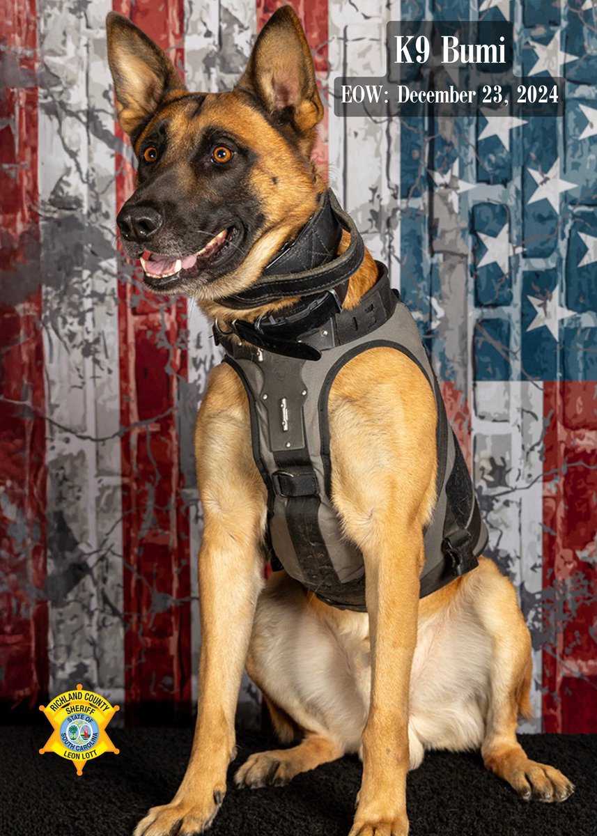 RCSD's tweet image. Sheriff Lott is devastated to announce the death of K9 Bumi in the line of duty. Early this morning, K9 Bumi was shot and killed while tracking for two suspects. No other deputies were injured. Visit RCSD's Facebook page for additional information. 

Rest in peace, Bumi. 🐾💙