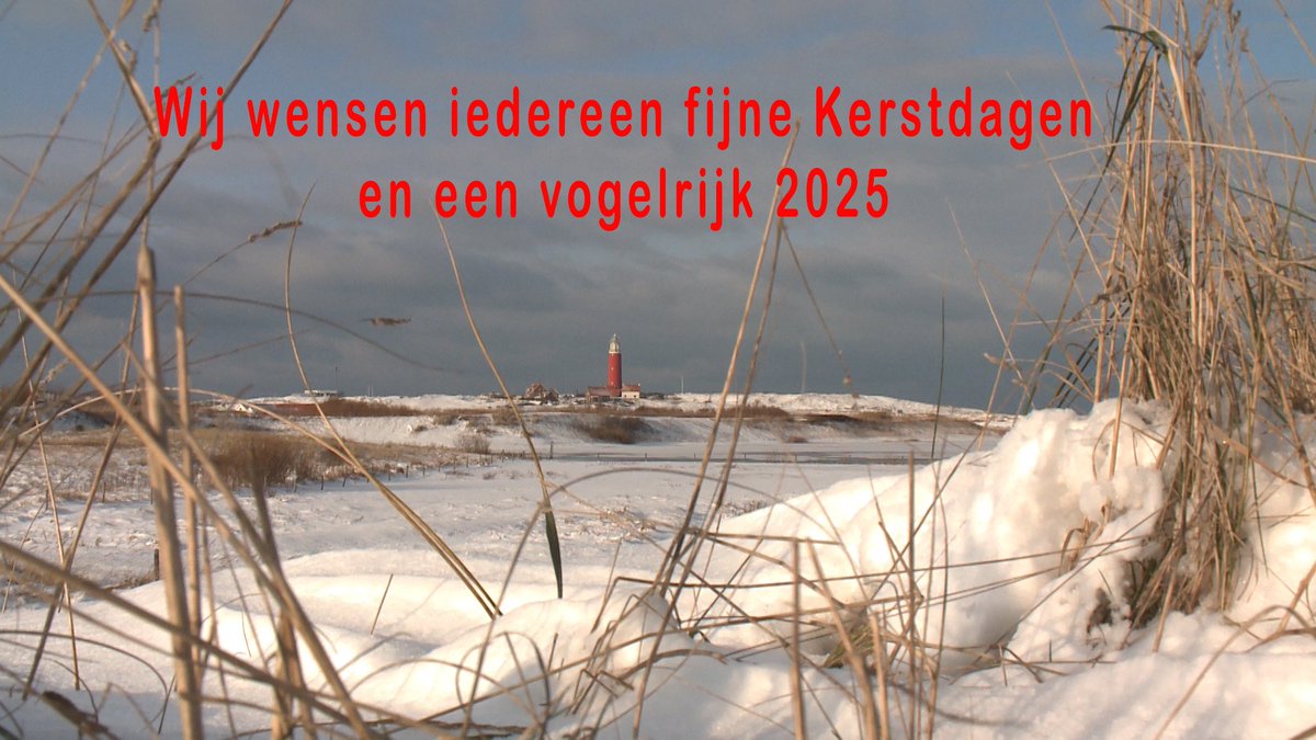 Wij wensen iedereen een fijne Kerst en een voorspoedig en vogelrijk 2025. Het Vogelinformatiecentrum is beide Kerstdagen en nieuwjaarsdag gesloten. De andere dagen zijn we gewoon van ma t/m zat van 10.00-18.00 geopend. Ook onze vogelexcursies gaan gewoon door. Tot snel op Texel.