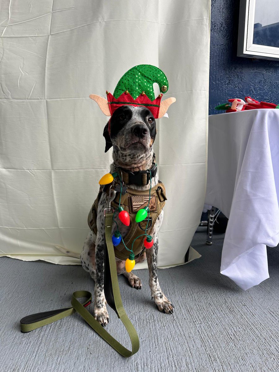 MiamiDade_SO's tweet photo. Spreading the holiday cheer one moment at a time! #MDPD is in full festive mode, celebrating the season with joy and community warmth. 🎄✨ #MDPDholidays https://t.co/Ugv6gzz4ht
