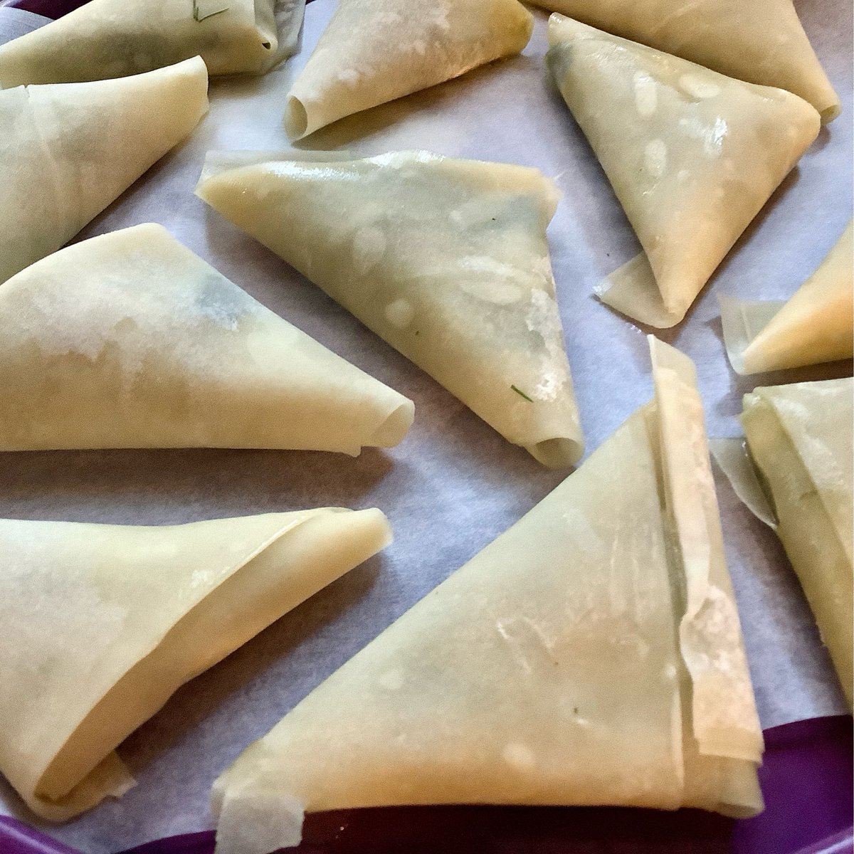 VischLa's tweet photo. On the 27th I’ll be having family over for dinner. So, I’m slowly gearing up with the preparations. Today I prepared these spanakopita triangles, and put them in the freezer. Only baking them will be needed on Thursday 😃

#Dinner #ChristmasDinner #GreekRecipe #Spanakopita https://t.co/MGgwrcnfgl