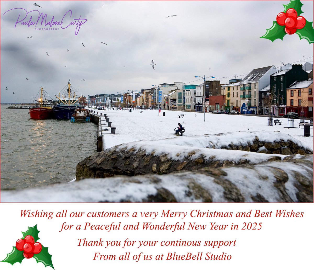 Paula Malone Carty (@bluebellstudio) on Twitter photo 