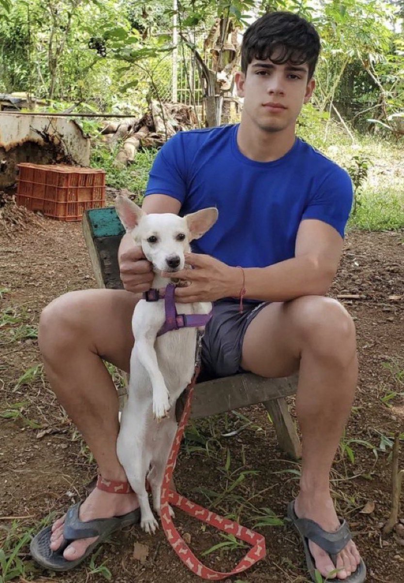 poppy 🦋 tweet media