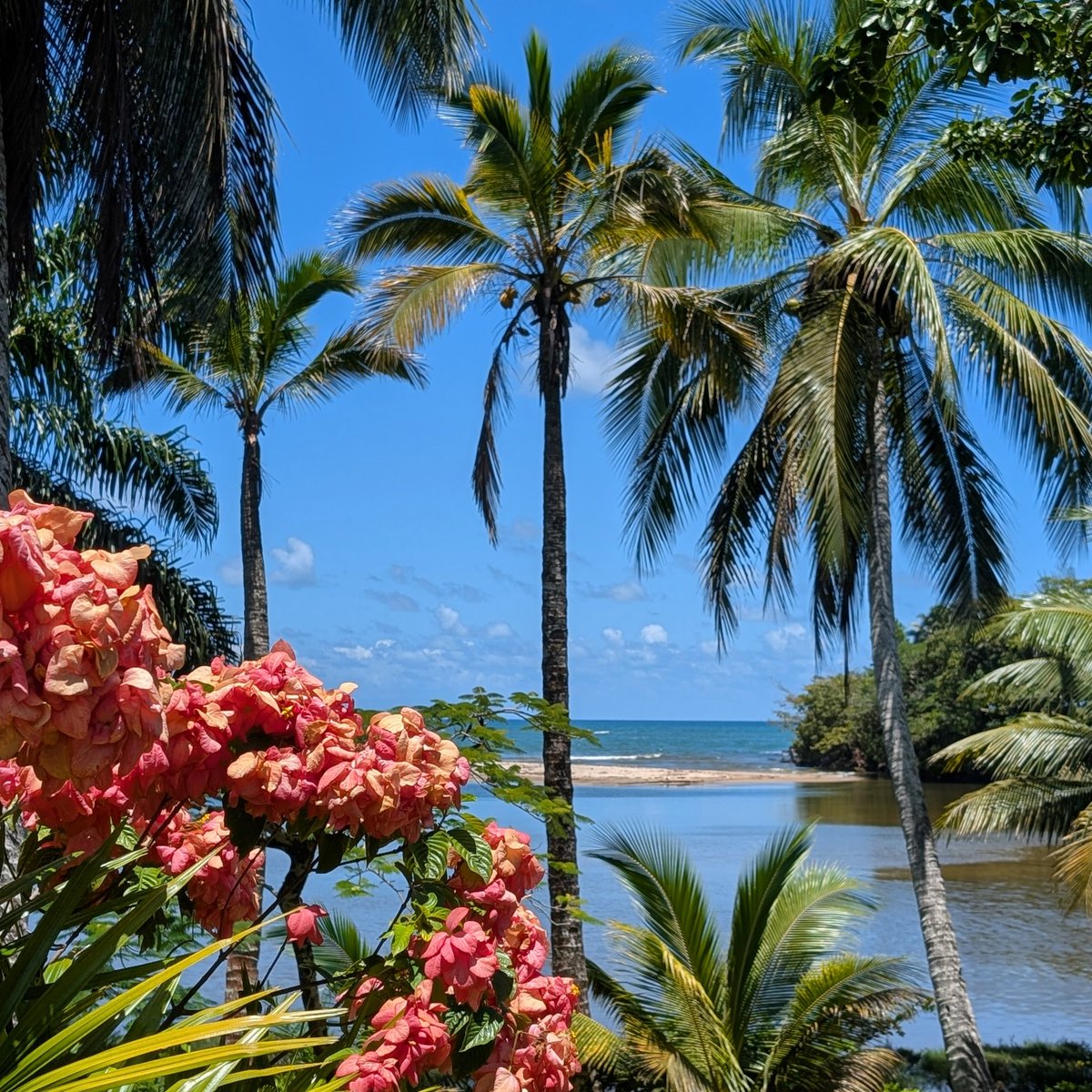 Mahambo 🇲🇬 2024