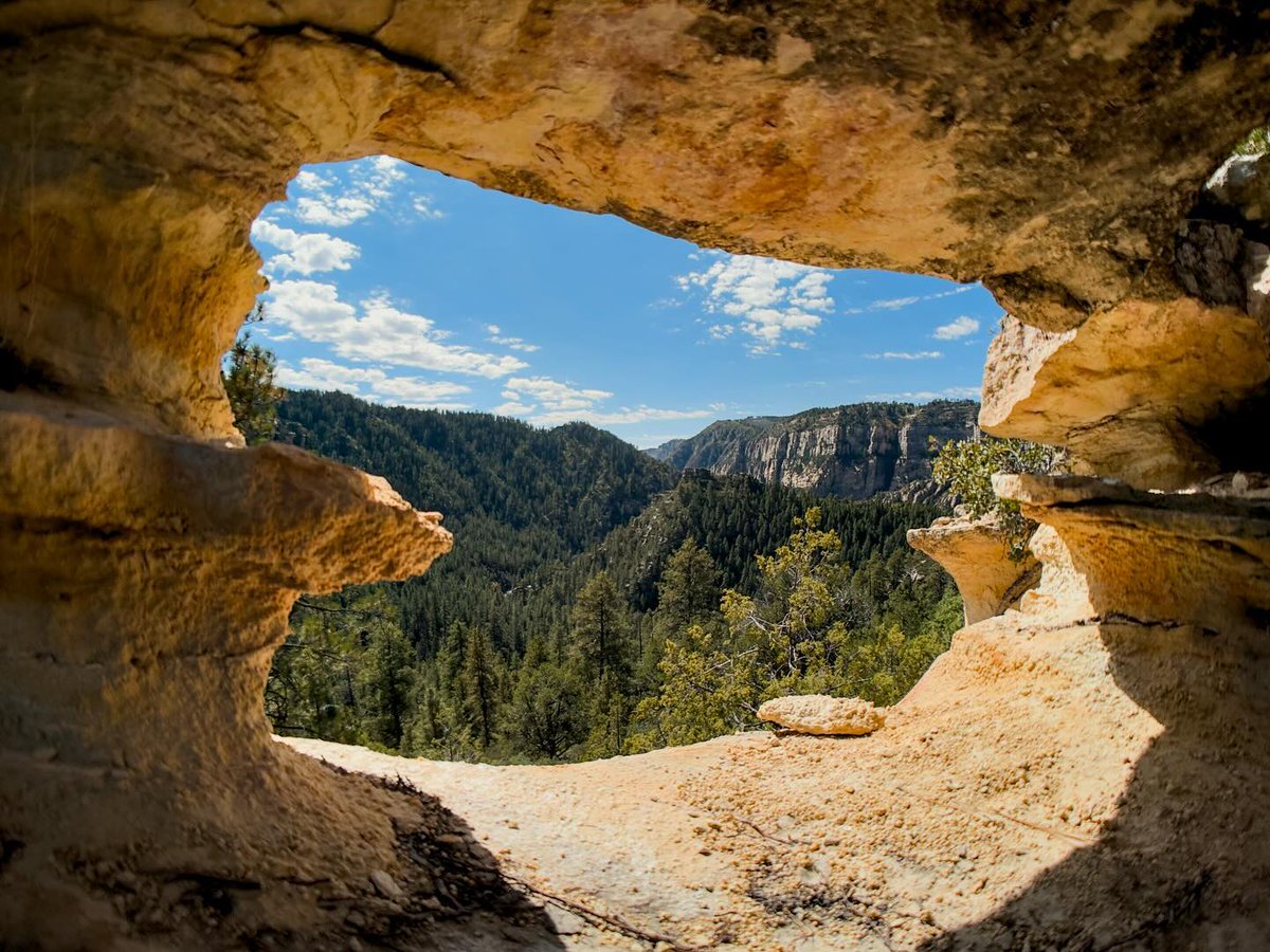 Can you name this trail? Hint 💡 It's located in one of the most iconic national forests in the American Southwest! 

Give us your best answer in the comments below and click the link in our bio to see the answer 🔗 bit.ly/41GJdZpe

📸 @liquid_living