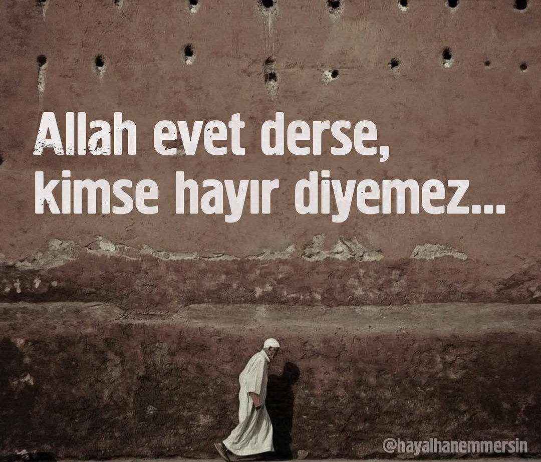 TheSeheria's tweet photo. Elhamdülillah... https://t.co/xqcOBl21Qc