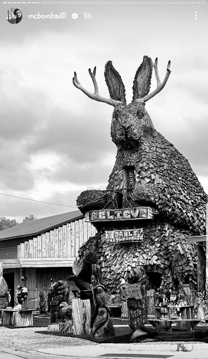 xXPrinceTigerXx's tweet photo. Tell me why I just saw that one of my favorite actors and shitposters @CallanMcAuliffe is/was in my home state of South Dakota. https://t.co/ec2XRykAmE