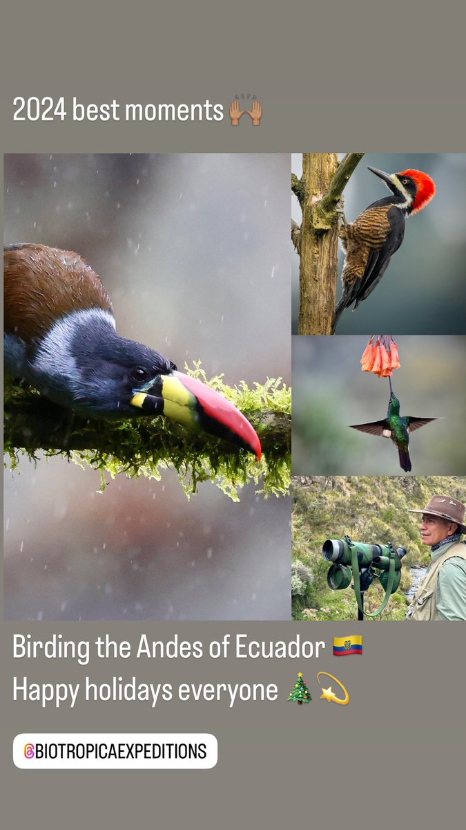 #2024bestmoments 
#Ecuador 
#happyholidays2024 
#BiotropicaExpeditions 

Welcome to nature &amp; cultural diversity! Ecuador at its finest ☺️