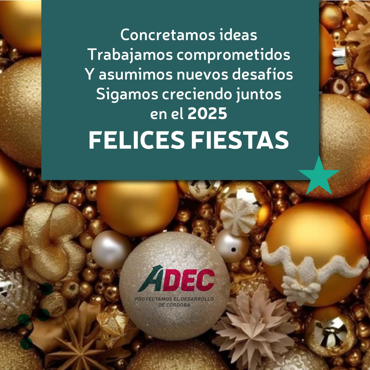 🎊 Cerramos un año de aprendizajes y logros compartidos.

🤝 Gracias al compromiso de todos pudimos fortalecer vínculos y enfrentar nuevos desafíos.

🚀 Desde #ADEC los invitamos a seguir creciendo juntos en el 2025 🥂