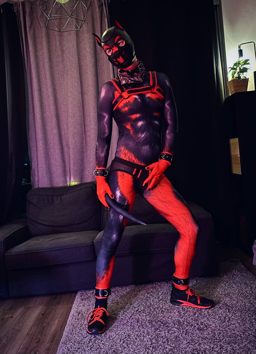 Very happy with my new petsuit 🥰