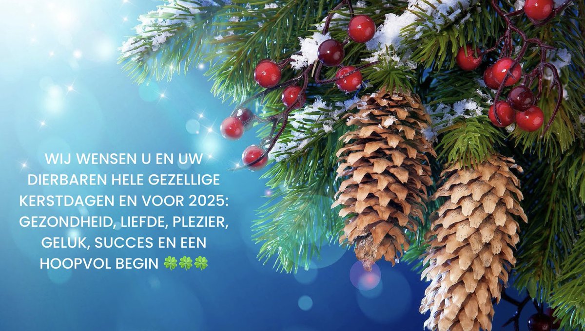 #kerst #vrede #gezelligheid #familie #vrienden #samen #2025 #hoopvol #geluk