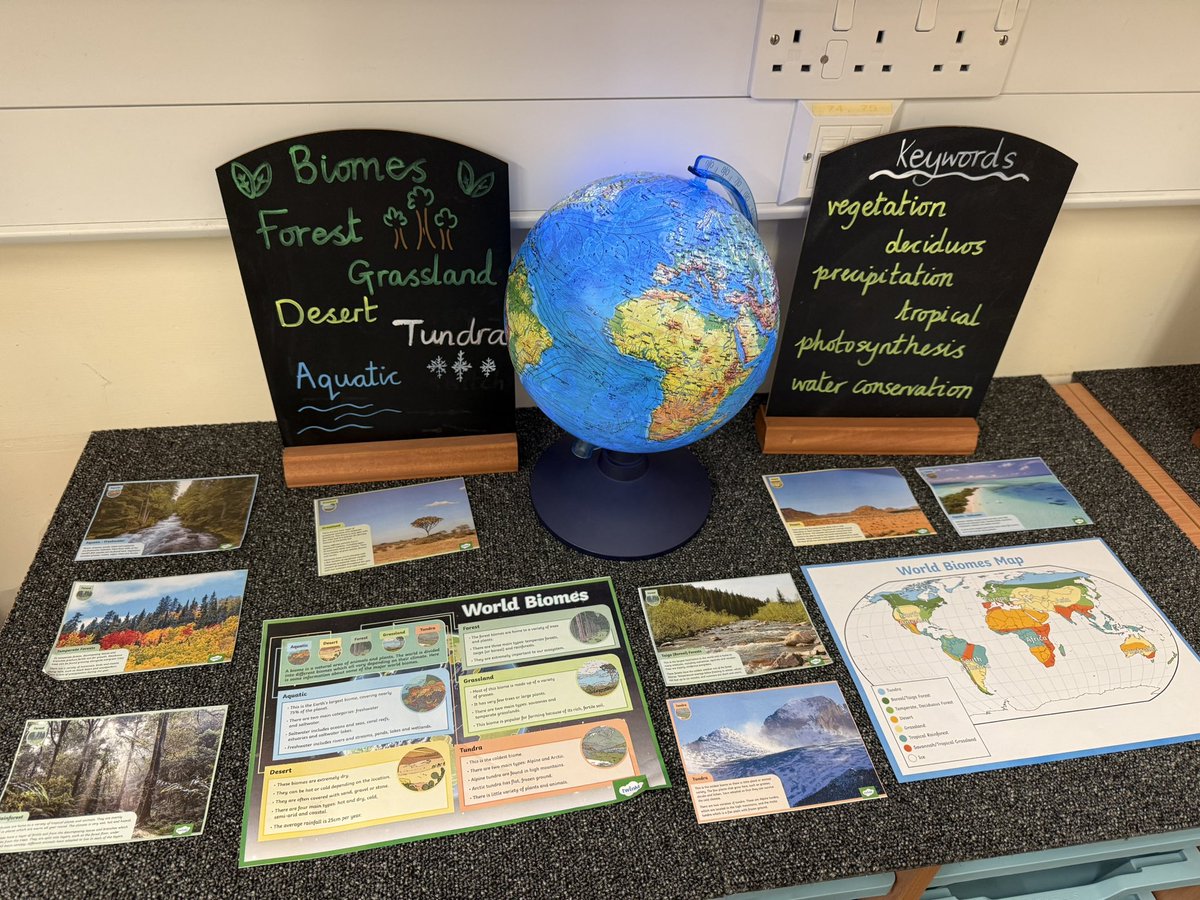 MissAtiqPrimary's tweet image. A start to my table - top displays with books yet to add. But, I can’t wait to start our new Science and Geography topics in Spring 1! @BBC_Teach @ScienceWeekUK @MrTs_NQTs #biomes #circulatorysystem 🌊🌲🏜️🫀🫁🩸