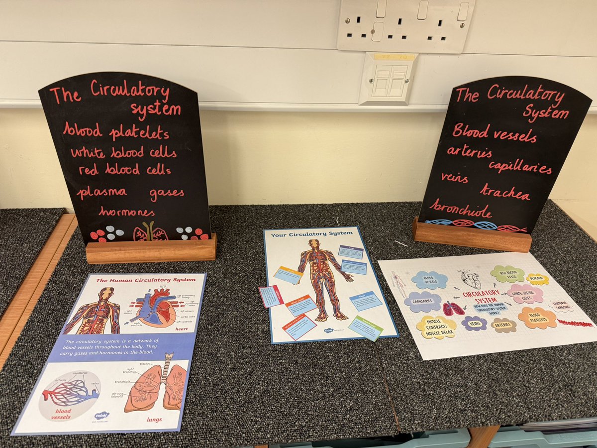 MissAtiqPrimary's tweet image. A start to my table - top displays with books yet to add. But, I can’t wait to start our new Science and Geography topics in Spring 1! @BBC_Teach @ScienceWeekUK @MrTs_NQTs #biomes #circulatorysystem 🌊🌲🏜️🫀🫁🩸