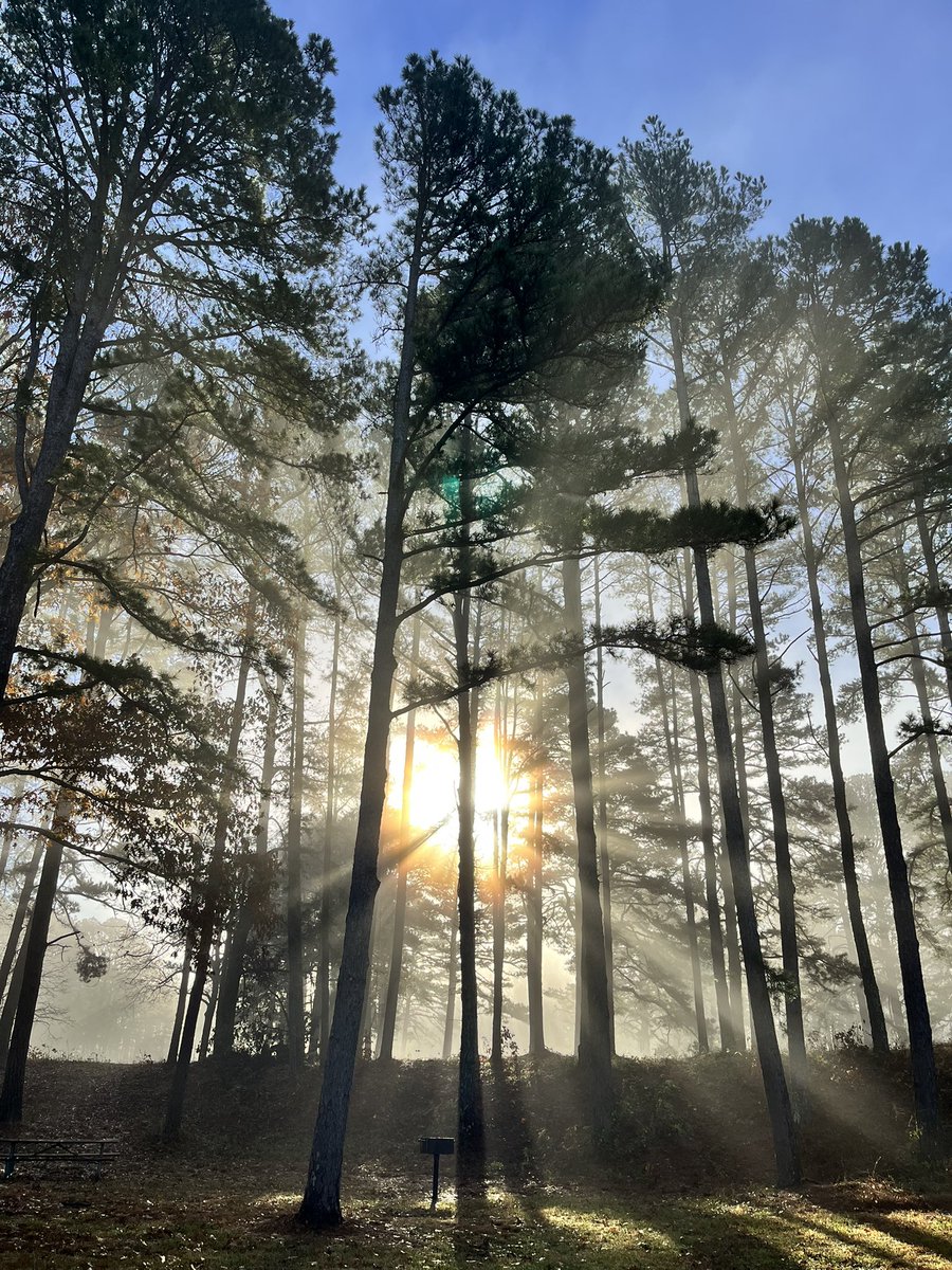 RejoicingReb M (@diligentbecca) on Twitter photo 