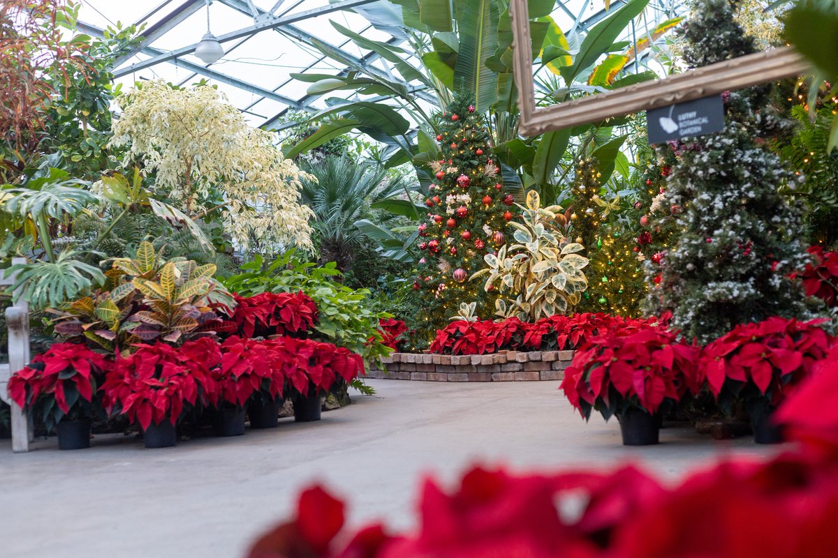 PeoriaParkDist's tweet photo. ☕❄️Tonight is your last chance to experience Luthy Lights and the Merry Mug! 

⏰ Time: 5pm–8pm
📍 Luthy Botanical Garden

There’s something for everyone at Luthy Lights! ✨🌟 

#LuthyLights #HolidayDrinks #MerryMug #PeoriaParks https://t.co/cZiZFwSgGD