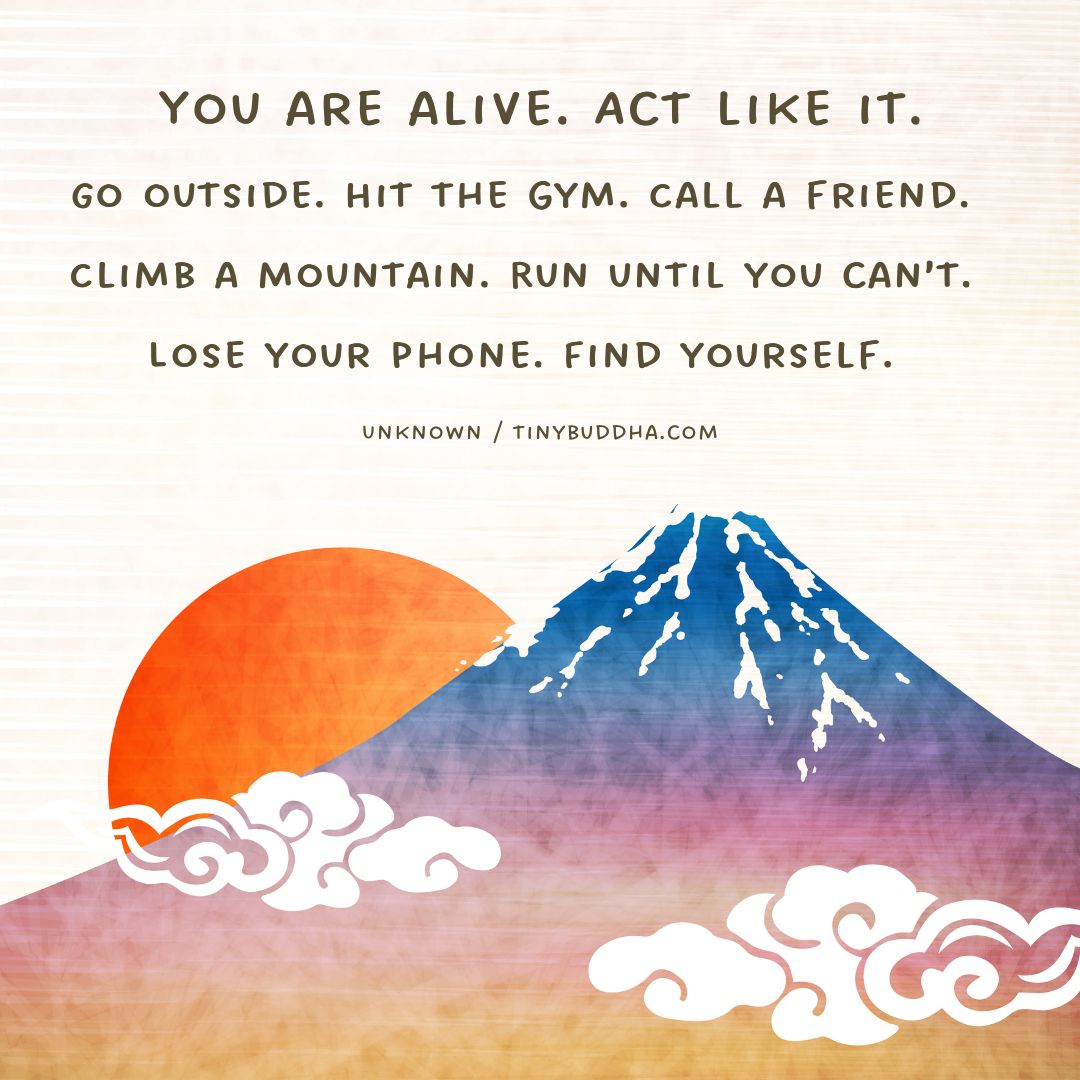 Tiny Buddha tweet media