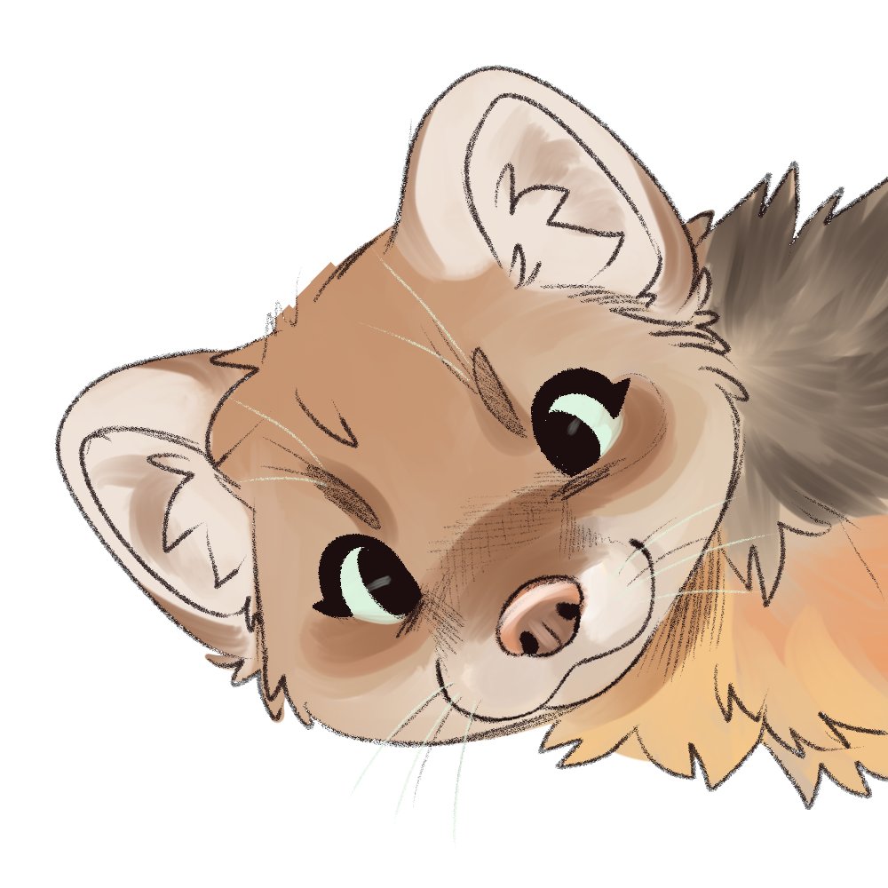 Hi

im here to bite you