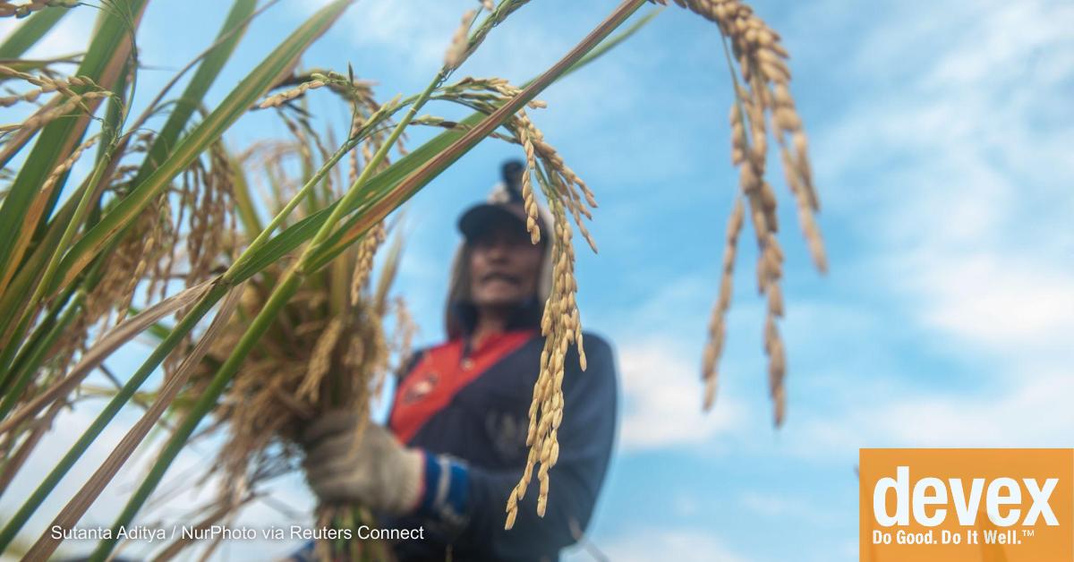 Global Partnership for Social Accountability (@gpsa_org) on Twitter photo Nearly 1 in 10 people go hungry each day, and the global response remains fragmented and underfunded.
On @Devex, <a href="/NorwayMFA/">Norway MFA</a>'s <a href="/AnneBeathe_/">Anne Beathe Tvinnereim</a> and <a href="/WorldBank/">World Bank</a>'s Aki Nishio share why #IDA21 is a critical opportunity to tackle food security: wrld.bg/4jHv50Ugo67 | <a href="/WBG_IDA/">IDA - World Bank</a> #IDAworks Nearly 1 in 10 people go hungry each day, and the global response remains fragmented and underfunded.
On @Devex, <a href="/NorwayMFA/">Norway MFA</a>'s <a href="/AnneBeathe_/">Anne Beathe Tvinnereim</a> and <a href="/WorldBank/">World Bank</a>'s Aki Nishio share why #IDA21 is a critical opportunity to tackle food security: wrld.bg/4jHv50Ugo67 | <a href="/WBG_IDA/">IDA - World Bank</a> #IDAworks