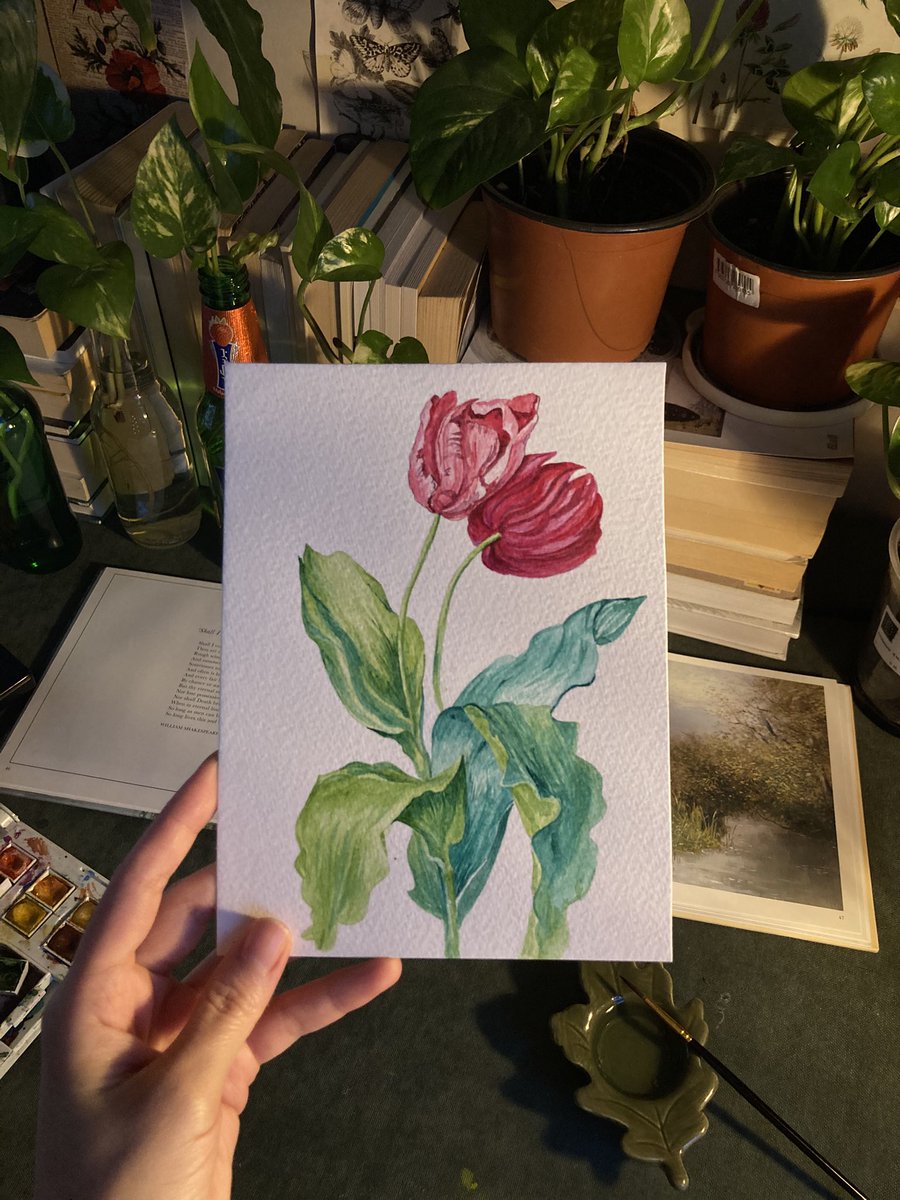 My latest watercolor drawings🌷🖌️