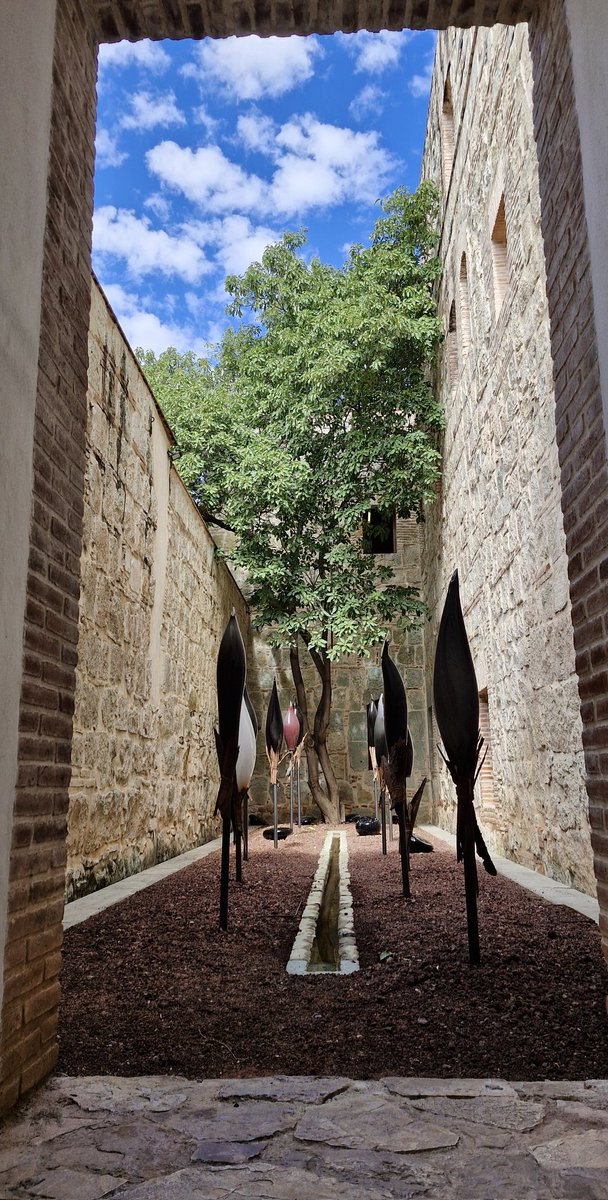 Luis Salgado tweet media