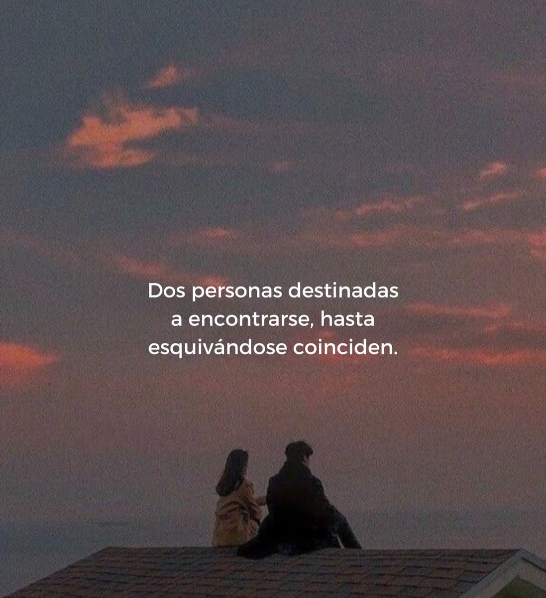 Dilo con dibujos (@dilocondibujos_) on Twitter photo 