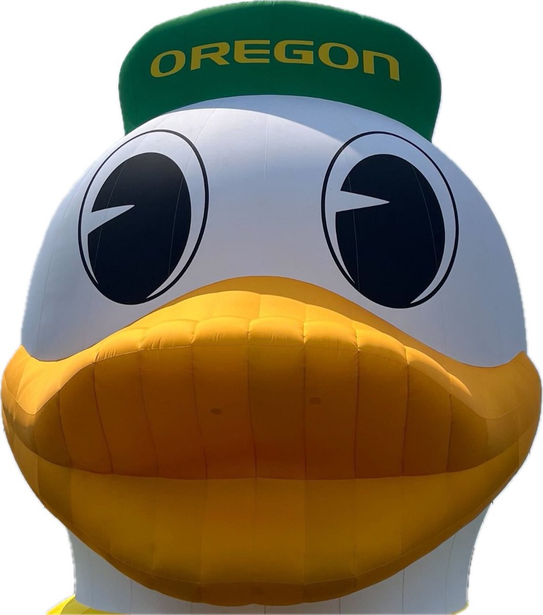 MauryWilson3's tweet photo. @BaileyKnowsVol Go Ducks!!! 💚🏈💛😎 https://t.co/Oa6GoqkJYz