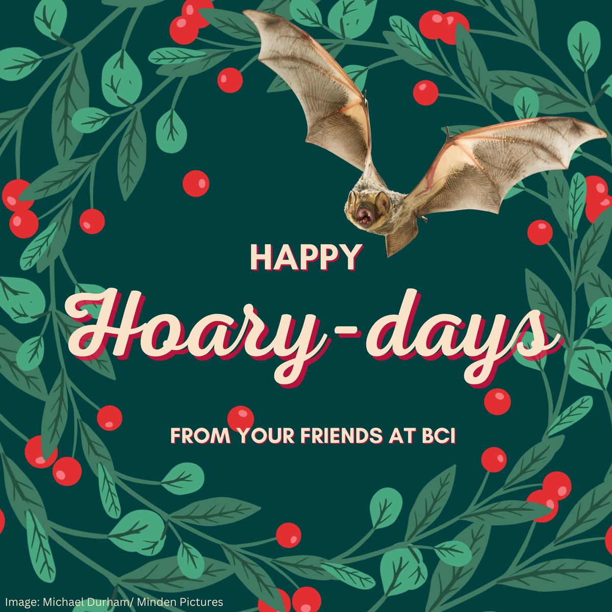 It's the most wonderful time of the year 🦇