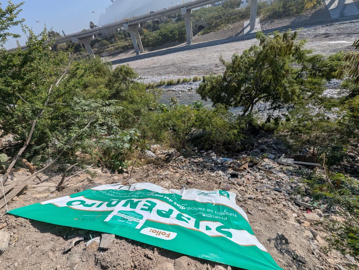 Alfonso Martinez tweet media