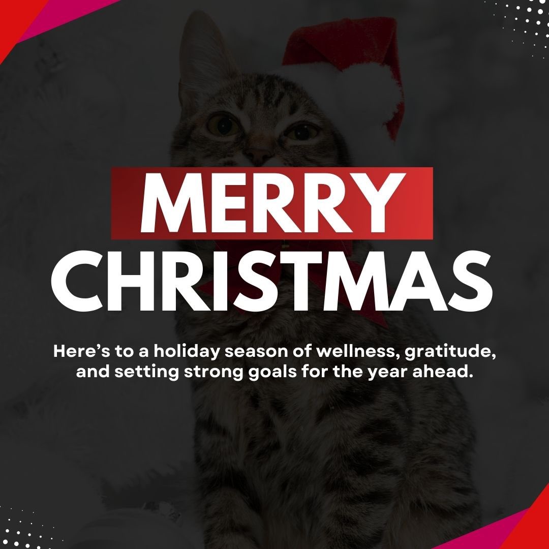 The Kitty Boss tweet media