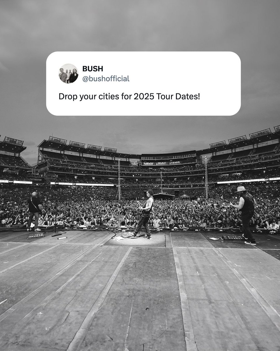 BUSH tweet media