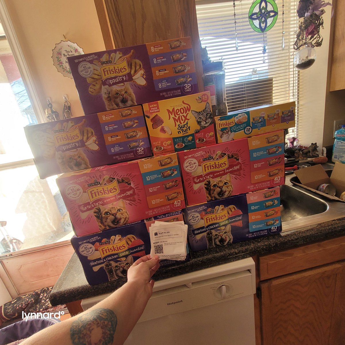 lynnslagle42's tweet photo. OMG Y'ALL IM LITERALLY CRYING! THANK YOU @samdoesarts! You truly are amazing person. The ferals thank you so much. I am blown away by your generosity. 😭😭😭💗💗💗💗💗💗💗 #ferallivesmatter #feralcolony #lovemyferals #thankyou #tnrworks #tnrsaveslives #supporttnr #blessed https://t.co/zQGQQ39rAJ