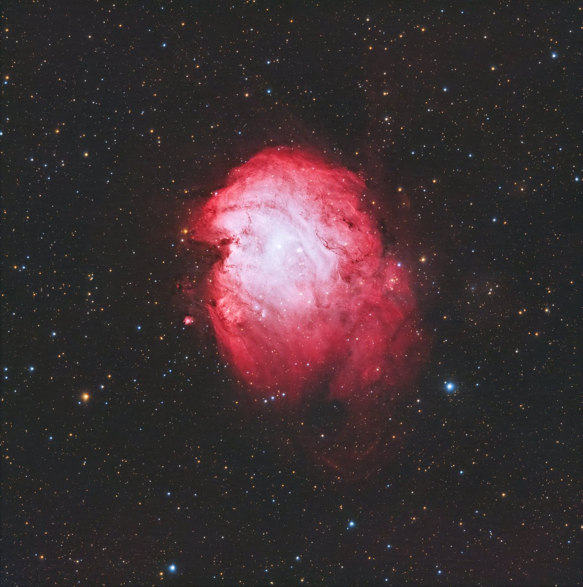Hello Everyone, here is my latest capture - the Monkey Head Nebula (NGC 2174).  It's located in the constellation Orion and is 6,400 light years from Earth.

Celestron RASA telescope
ZWO ASI533MC camera
Optolong L-eXtreme filter 
Starfront Observatories in Texas