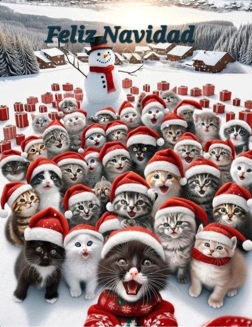 <a href="/ManuelF83761354/">Manuel F.I.</a> <a href="/Rodraedo/">Laura</a> <a href="/ceciliaencina/">Cecilia Grierson ⭐️⭐️⭐️</a> <a href="/Tony_kke/">Tony Writes</a> <a href="/SusieBobDylan/">Susie ✊💜🇵🇸</a> <a href="/go_rocko/">👩‍🦰Go_Rocko #7291 ⚖️</a> <a href="/Matxistometro/">Matxistómetro</a> <a href="/CarlosA44228005/">Carlos Alonso Cortiñas 🔻</a> <a href="/Aldarafentmarxa/">Aldara</a> <a href="/annetx1965/">AnaE.</a> <a href="/LaEspejo1/">MaquiASecas</a> <a href="/negua597/">negua</a> <a href="/bertac1392634/">Alérgica al patriarcado 💜✊️</a> <a href="/REDROJA4/">RED ROJA 🔻</a> <a href="/RedAnimalistas1/">Red Animalista🐾</a> <a href="/erjubilao/">Juan Marín González</a> <a href="/Shaktale__1312/">★ACAB★☠</a> <a href="/100pupilas/">David</a> <a href="/SusanaV71002238/">Susana Vega</a> Muchas gracias, mi querido amigo. 🫂
Por no perder a gente como tú me está costando decidir si dejo X. 

Yo también te deseo unas muy felices fiestas. 🥂🍾😘😘😘💜