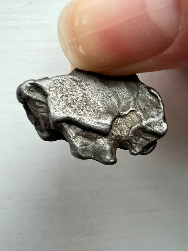 Disclosure Party tweet media