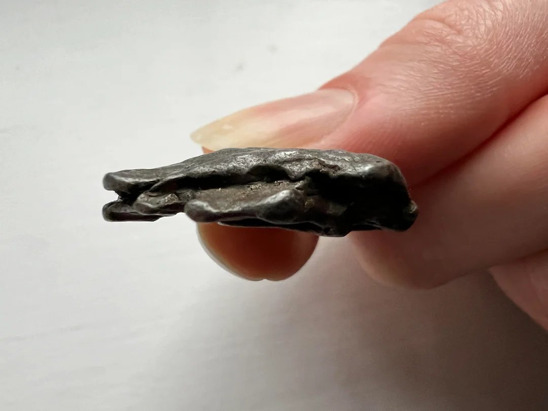 Disclosure Party tweet media