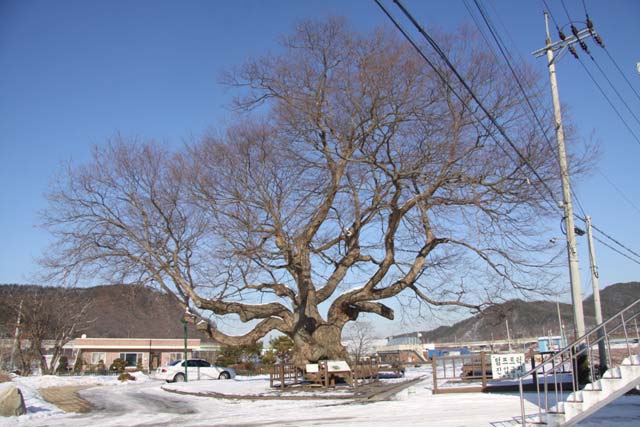 Margaret tweet media