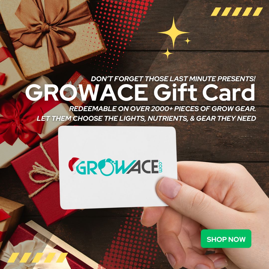 Grow Ace tweet media