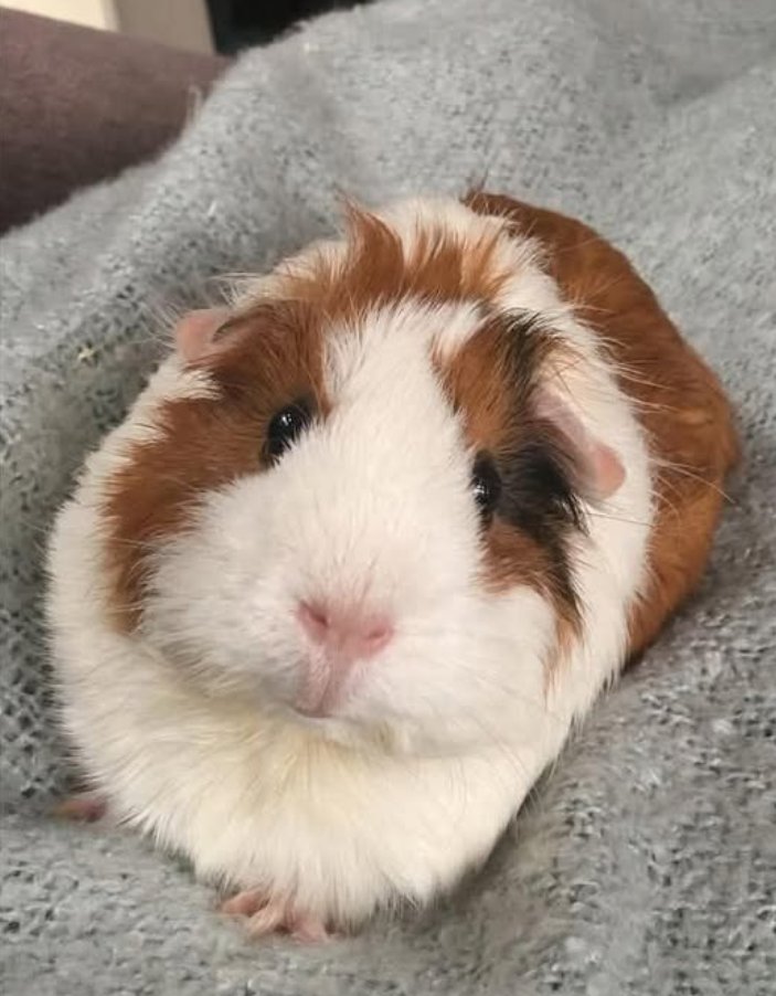 Today is my birthday hope i get some love here