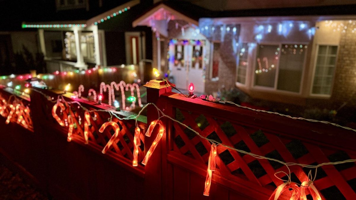 ESBC member Daphné Chevalier (of the UBC PIEE lab) was featured in a recent Radio Canada piece about wildlife-friendly Christmas decorating. Check it out here: buff.ly/3ZHPtNQ